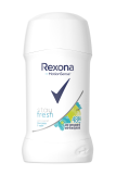 Rexona anti-perspirant stick 40 ml Stay Fresh